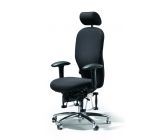 Photo : Fauteuil BIOSWING 460 QiS